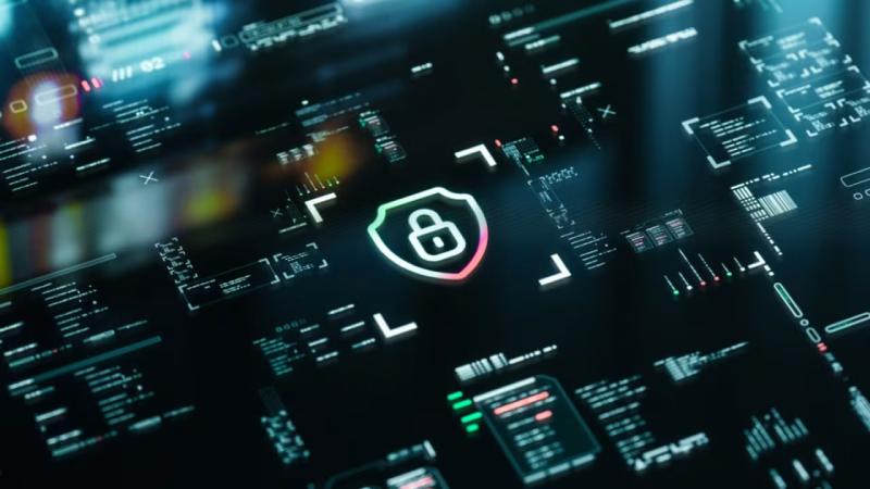 启东市软件开发公司